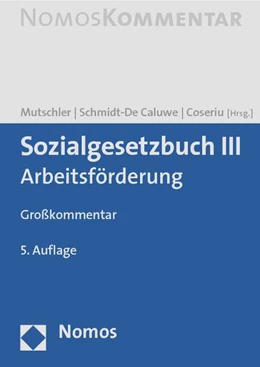 Abbildung von Mutschler / Schmidt-De Caluwe | Sozialgesetzbuch III | 5. Auflage | 2013 | beck-shop.de