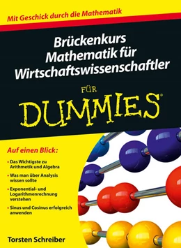 Abbildung von Jaschinski | Brückenkurs Mathematik für Wirtschaftswissenschaftler für Dummies | 1. Auflage | 2014 | beck-shop.de