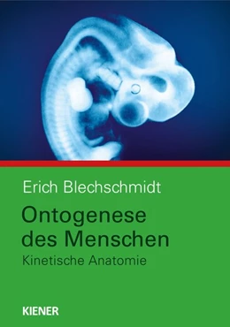 Abbildung von Blechschmidt | Ontogenese des Menschen | 1. Auflage | 2012 | beck-shop.de