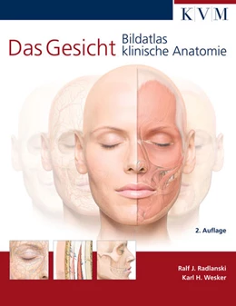 Abbildung von Radlanski | Das Gesicht | 2. Auflage | 2012 | beck-shop.de