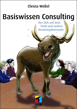 Abbildung von Weßel | Basiswissen Consulting | 1. Auflage | 2013 | beck-shop.de