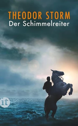 Abbildung von Storm | Der Schimmelreiter | 7. Auflage | 2011 | beck-shop.de