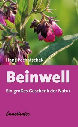 Abbildung von Pechatschek | Beinwell | 1. Auflage | | beck-shop.de