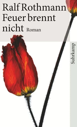 Abbildung von Rothmann | Feuer brennt nicht | 6. Auflage | 2010 | beck-shop.de