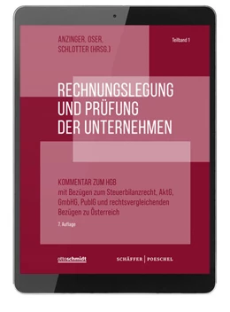 Abbildung von Rechnungslegung und Prüfung der Unternehmen • Online | 1. Auflage | | beck-shop.de