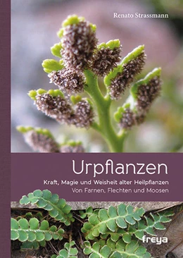 Abbildung von Strassmann | Urpflanzen | 1. Auflage | 2016 | beck-shop.de