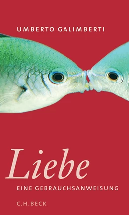 Abbildung von Kopetzki, Annette / Galimberti, Umberto | Liebe. Eine Gebrauchsanweisung | 1. Auflage | 2006 | beck-shop.de