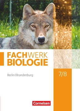 Abbildung von Hampl / Janik | Fachwerk Biologie - Berlin/Brandenburg - 7./8. Schuljahr | 1. Auflage | 2016 | beck-shop.de