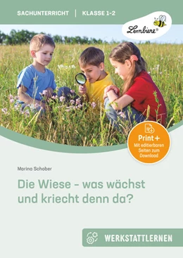 Abbildung von Schober | Die Wiese - was wächst und kriecht denn da? | 1. Auflage | 2022 | beck-shop.de