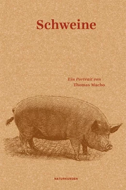 Abbildung von Macho / Schalansky | Schweine | 1. Auflage | 2015 | beck-shop.de
