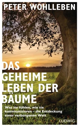Abbildung von Wohlleben | Das geheime Leben der Bäume | 1. Auflage | 2015 | beck-shop.de
