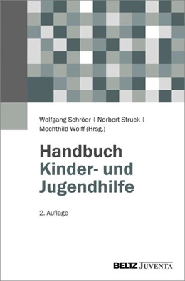 Abbildung von Schröer / Struck | Handbuch Kinder- und Jugendhilfe | 2. Auflage | 2016 | beck-shop.de
