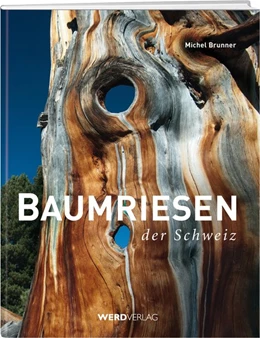 Abbildung von Brunner | Baumriesen der Schweiz | 1. Auflage | 2016 | beck-shop.de