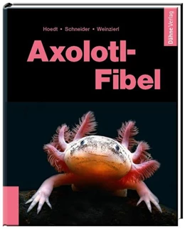 Abbildung von Hoedt / Schneider | Axolotl-Fibel | 1. Auflage | 2022 | beck-shop.de