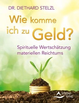 Abbildung von Stelzl | Wie komme ich zu Geld? | 1. Auflage | 2016 | beck-shop.de