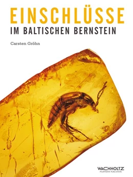 Abbildung von Gröhn | Einschlüsse im baltischen Bernstein | 1. Auflage | 2015 | beck-shop.de