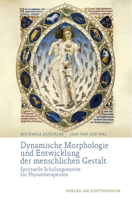 Abbildung von Glöckler / Wal | Dynamische Morphologie und Entwicklung der menschlichen Gestalt | 1. Auflage | 2016 | beck-shop.de