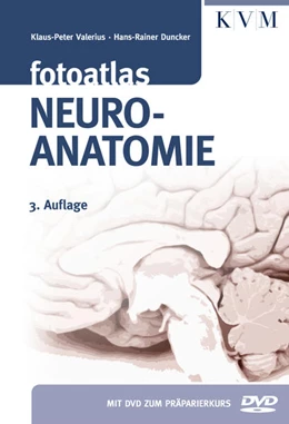 Abbildung von Valerius / Duncker | Fotoatlas Neuroanatomie | 3. Auflage | 2015 | beck-shop.de