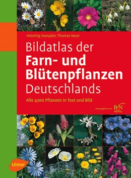 Abbildung von Haeupler / Muer | Bildatlas der Farn- und Blütenpflanzen Deutschlands | 2. Auflage | 2014 | beck-shop.de