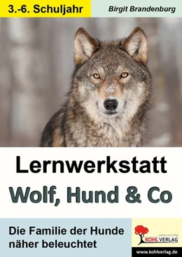 Abbildung von Lernwerkstatt Wolf, Hund & Co | 1. Auflage | 2016 | beck-shop.de