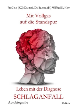 Abbildung von Börsch / Dr. med. sin. Kalg | Mit Vollgas auf die Standspur - Leben mit der Diagnose Schlaganfall - Autobiografie | 1. Auflage | 2015 | beck-shop.de