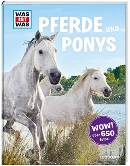 Abbildung von Behling | Was ist was: Pferde und Ponys | 1. Auflage | 2016 | beck-shop.de