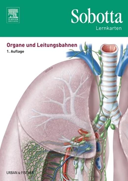 Abbildung von Bräuer | Sobotta Lernkarten Organe und Leitungsbahnen | 1. Auflage | 2016 | beck-shop.de