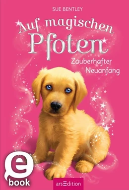 Abbildung von Bentley | Auf magischen Pfoten - Zauberhafter Neuanfang | 1. Auflage | 2016 | beck-shop.de