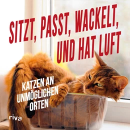 Abbildung von Sitzt, passt, wackelt und hat Luft | 1. Auflage | 2016 | beck-shop.de