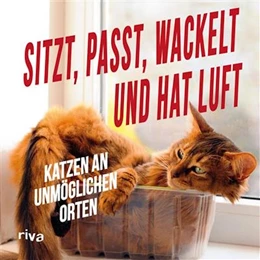 Abbildung von Riva Verlag | Sitzt, passt, wackelt und hat Luft | 1. Auflage | 2016 | beck-shop.de