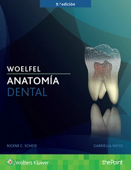Abbildung von Scheid / Weiss | Woelfel. Anatomía dental | 9. Auflage | 2017 | beck-shop.de