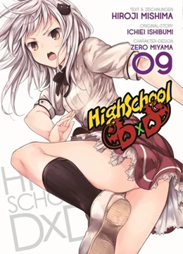 Abbildung von Mishima / Ishibumi | HighSchool DxD 09 | 1. Auflage | 2016 | beck-shop.de