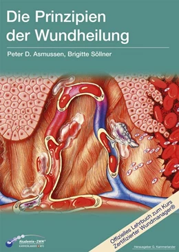 Abbildung von Asmussen / Kammerlander | Die Prinzipien der Wundheilung | 1. Auflage | 2007 | beck-shop.de