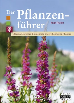 Abbildung von Fischer | Der Pflanzenführer | 1. Auflage | 2017 | beck-shop.de