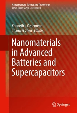 Abbildung von Ozoemena / Chen | Nanomaterials in Advanced Batteries and Supercapacitors | 1. Auflage | 2016 | beck-shop.de