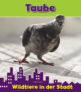 Abbildung von Thomas | Taube. Wildtiere in der Stadt | 1. Auflage | 2016 | beck-shop.de