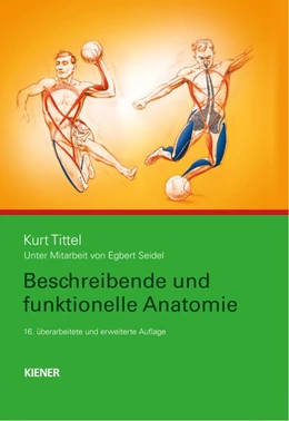Abbildung von Tittel | Beschreibende und funktionelle Anatomie | 16. Auflage | 2016 | beck-shop.de