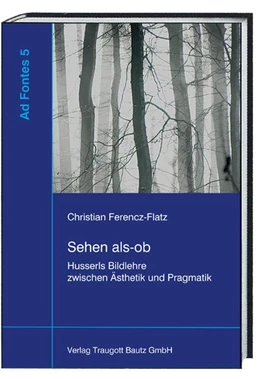 Abbildung von Sepp / Feldes | Sehen als-ob | 1. Auflage | 2017 | beck-shop.de