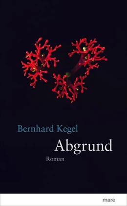 Abbildung von Kegel | Abgrund | 1. Auflage | 2017 | beck-shop.de