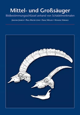 Abbildung von Jenrich / Löhr | Mittel- und Großsäuger | 1. Auflage | 2016 | beck-shop.de