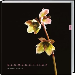 Abbildung von Danielsen | Blumenstrick | 1. Auflage | 2017 | beck-shop.de