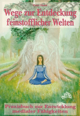 Abbildung von Fitzek | Wege zur Entdeckung feinstofflicher Welten | 1. Auflage | 2015 | beck-shop.de