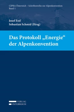 Abbildung von Essl / Schmid | Das Protokoll 