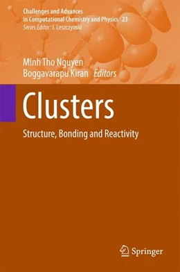 Abbildung von Nguyen / Kiran | Clusters | 1. Auflage | 2017 | beck-shop.de