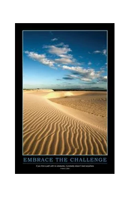 Abbildung von Enna | Embrace the Challenge Poster | 1. Auflage | 2017 | beck-shop.de