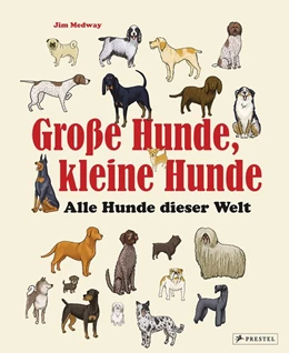 Abbildung von Fletcher / Medway | Große Hunde, kleine Hunde | 1. Auflage | 2017 | beck-shop.de