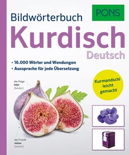 Abbildung von PONS Bildwörterbuch Kurdisch | 1. Auflage | 2017 | beck-shop.de