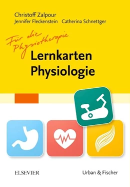 Abbildung von Zalpour | Lernkarten Physiologie für die Physiotherapie | 1. Auflage | 2017 | beck-shop.de