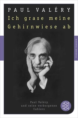 Abbildung von Valéry / Stölzel | Ich grase meine Gehirnwiese ab | 1. Auflage | 2016 | beck-shop.de