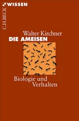Cover: , 
